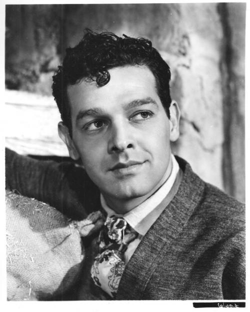 Robert Lowery Profile, Photos, News, Bio CelebNest