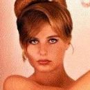 Donna Michelle