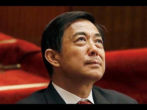 Anne Warner (politician)