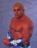 Dino Bravo