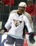 Joel Ward (ice hockey)