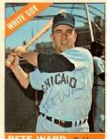 Pete Ward