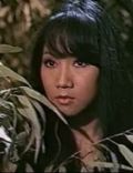 Mei Chen