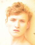 Alexander Laible