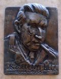 BÃ©la ZsedÃ©nyi