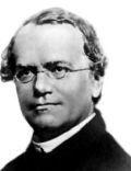 Gregor Mendel