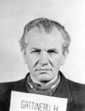 Heinrich Gattineau