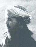 Amos Yarkoni