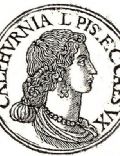 Calpurnia Pisonis