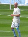 Stephen Ireland