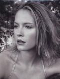 Dorota Brodzik