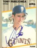 Tony Perezchica