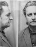 Romulus VereÅ
