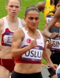 Binnaz Uslu
