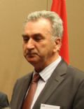 Mirko Å aroviÄ