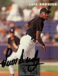 Luis Andujar