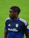 Sammy Ameobi