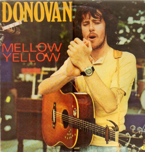 Yellow Mellow