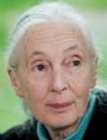 Jane Goodall