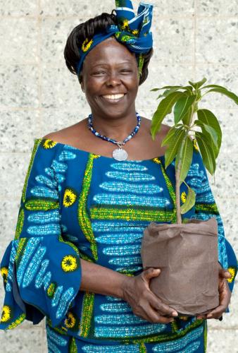 Wangari Muta Maathai