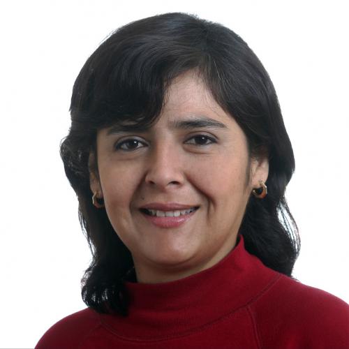Ana Jara Velasquez