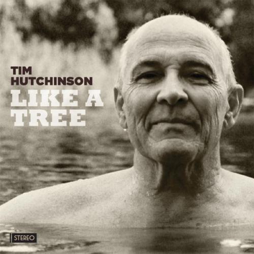 Tim Hutchinson