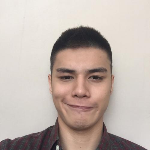 Ronnie Alonte