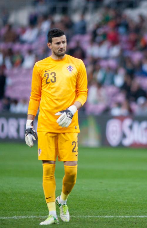 Danijel Subasic