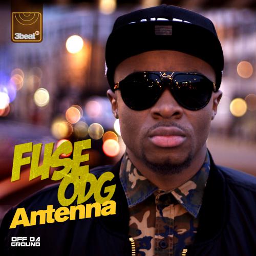Fuse Odg