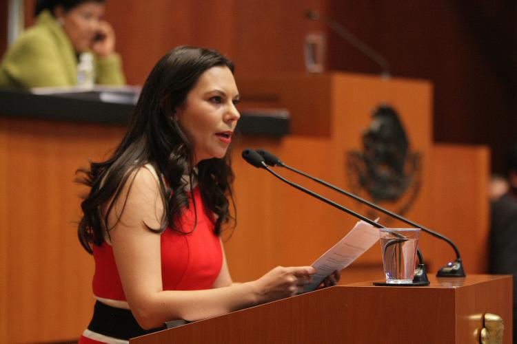 Laura Angelica Rojas Hernandez