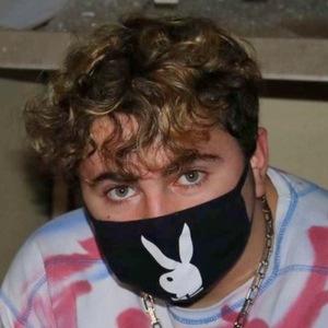 Daniel Starnes