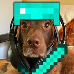 
TdogGaming
