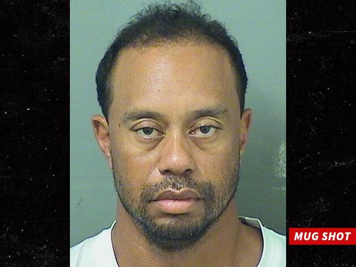 Tiger Woods DUI Video Should Be Released Today, Cops Say