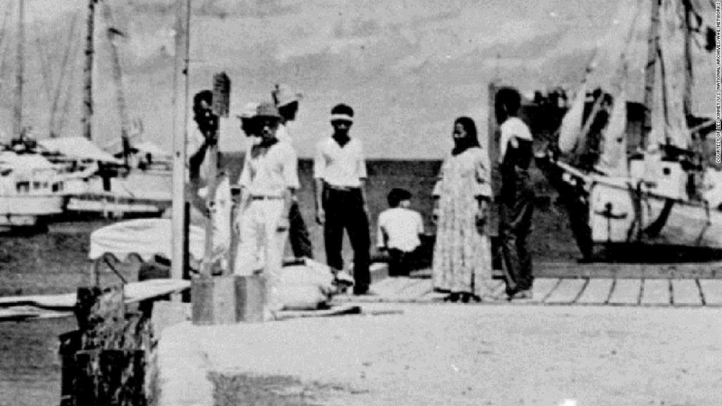 Does this blurry photo show Amelia Earhart survived her plane crash?
