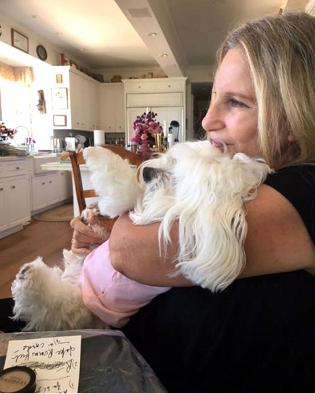Barbra Streisand Mourns the Loss of Her 14-Year-Old Dog Samantha:        May She Rest in Peace        
