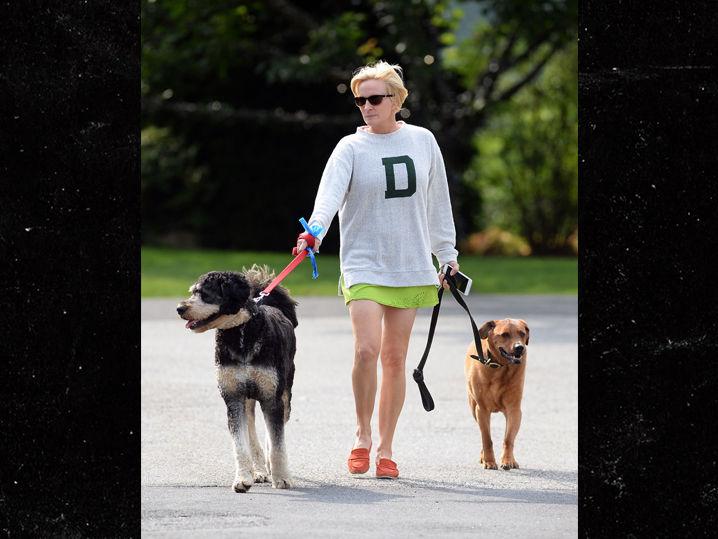 MSNBC's Mika Brzezinski Carefree Walking Her Dogs After Trump's Bashing