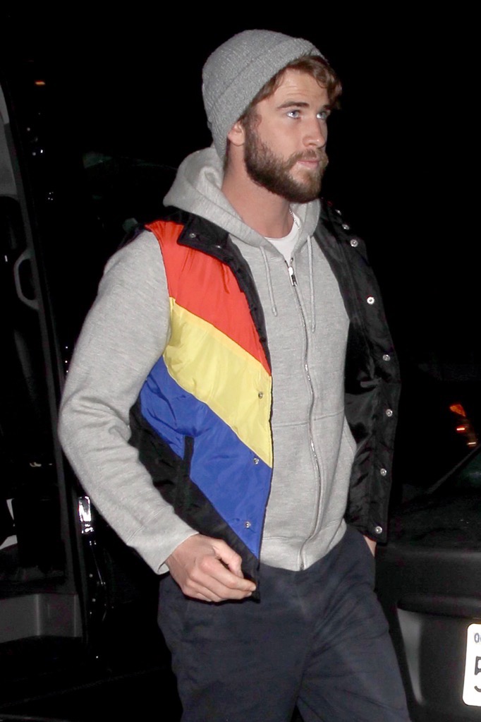 Miley Cyrus & Liam Hemsworth A Walking Rainbow, But Something\'s Missing (Photo Gallery)