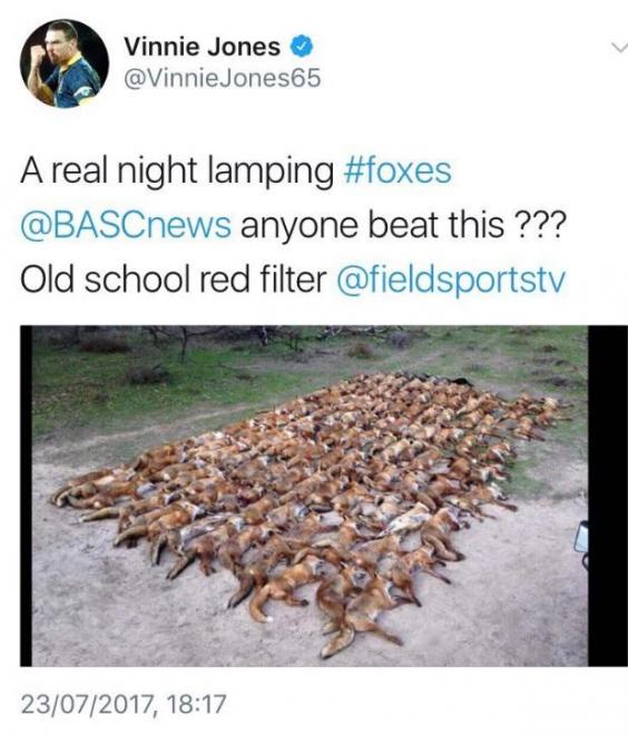 Vinnie Jones sparks outrage over photo of 100 foxes he shot dead Vinnie Jones sparks outrage over photo of 100 foxes he shot dead