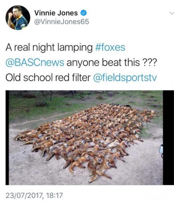 Vinnie Jones sparks outrage over photo of 100 foxes he shot dead