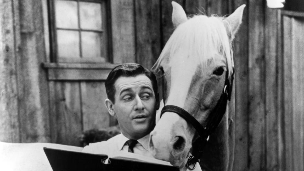 Alan Young,    Mister Ed '  Star, Dies at 96