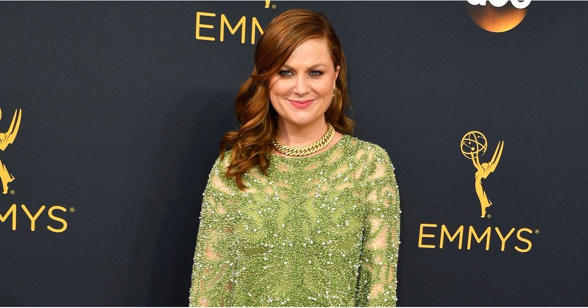 Amy Poehler Has a New Boyfriend in Her Life