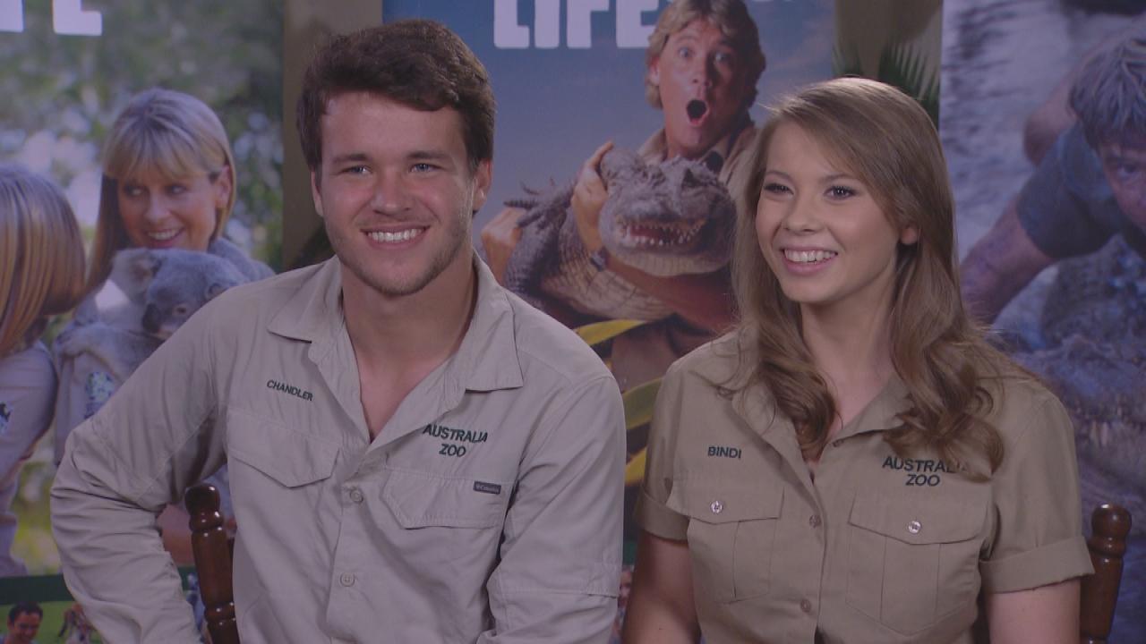 Bindi Irwin Celebrates Valentine       's Day With Boyfriend Chandler Powell: See the Sweet Pic!