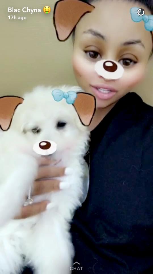 Blac Chyna Brings Home 2 New Dogs Just Days Before Sheâ€™s Due to Welcome a Baby Girl