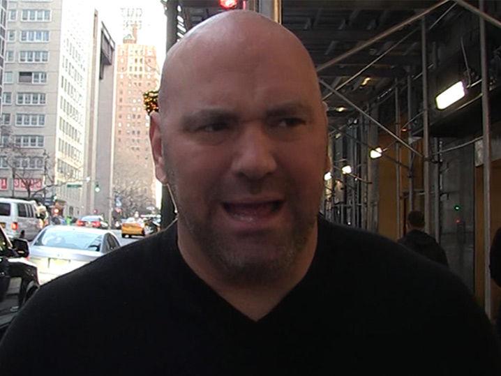 Brock Lesnar's Likely Done with Ufc ... Says Dana White (Video)