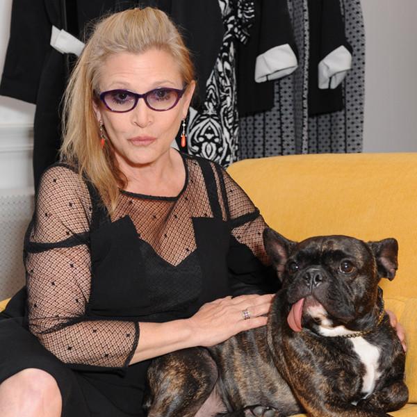 Carrie Fisher Honored by Family Guy With