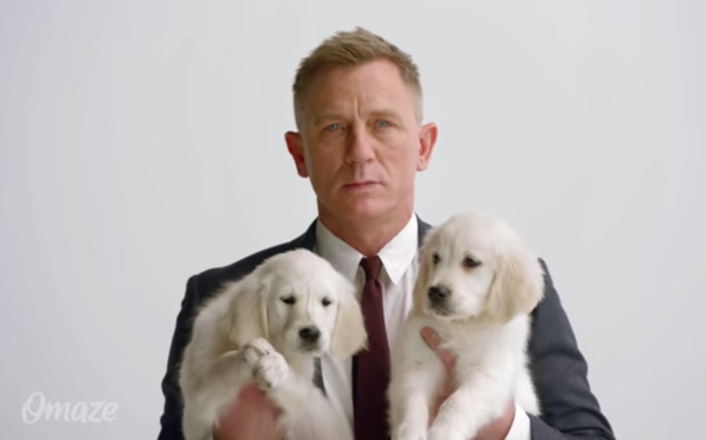 Daniel Craig Teams Up With Puppies For A Good (And Cute) Cause!