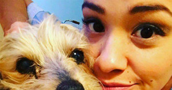 Gina Rodriguez Mourns the Death of Her Dog Ted: I'm ''in Com