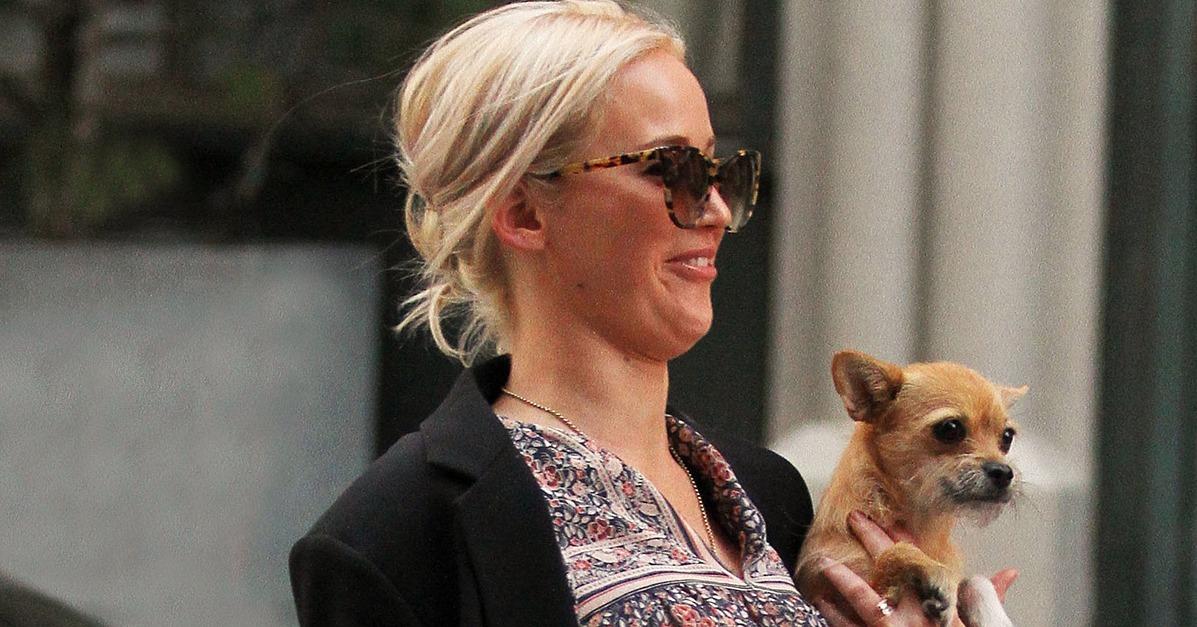Jennifer Lawrence Has Way Too Much Fun Walking Her Dog in NY
