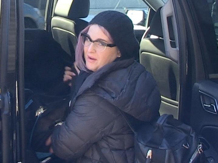 Kelly Osbourne Tries Booting Aggressive Pit Bull Off Flight (Video)