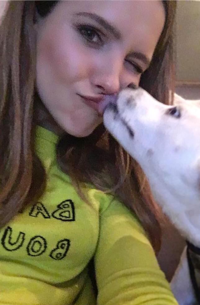 Sophia Bush’s New Rescue Puppy Is the Cutest Thing You’ll See Today